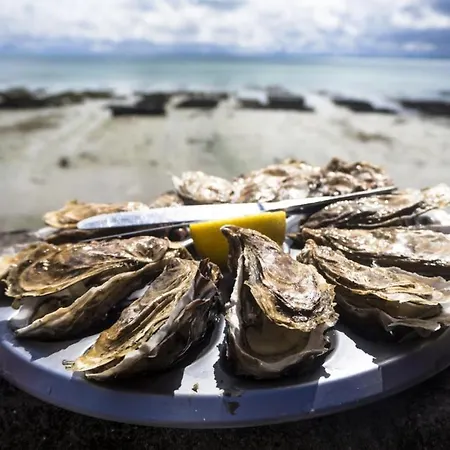 Cosy Lège-Cap-Ferret