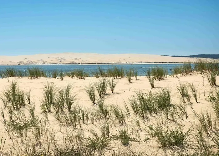 Cosy Дом отдыха *