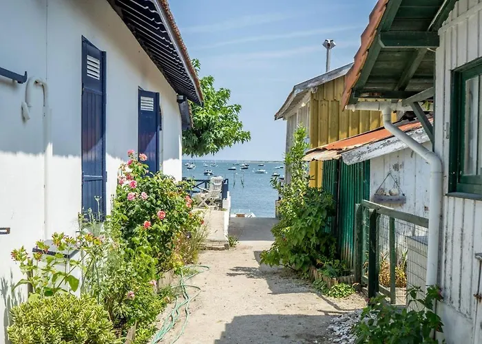 Дом отдыха Cosy