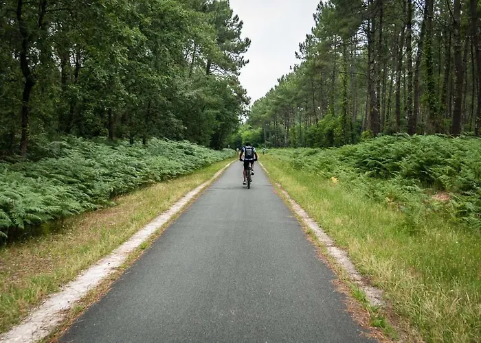 Дом отдыха Cosy