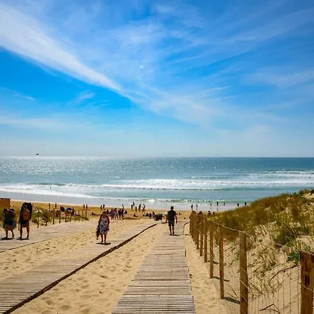 Prázdninový dům Cosy Lège-Cap-Ferret